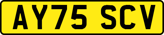 AY75SCV