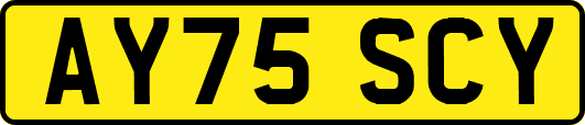 AY75SCY