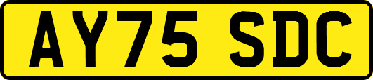 AY75SDC
