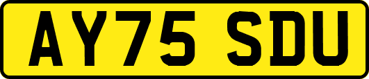 AY75SDU