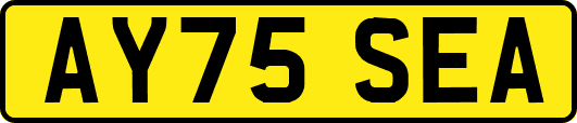 AY75SEA