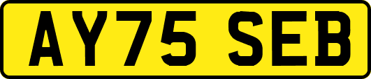 AY75SEB