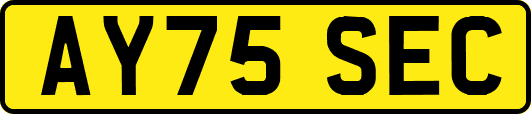 AY75SEC