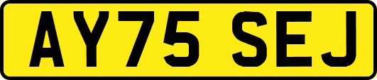 AY75SEJ