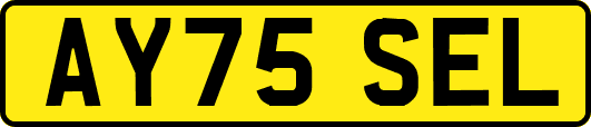 AY75SEL