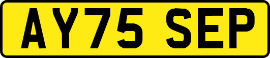 AY75SEP