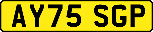 AY75SGP