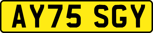 AY75SGY