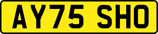 AY75SHO