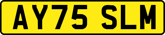 AY75SLM