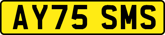 AY75SMS