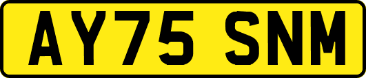 AY75SNM
