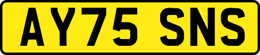 AY75SNS