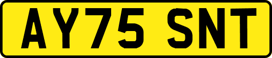 AY75SNT