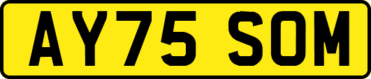 AY75SOM