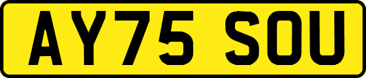 AY75SOU