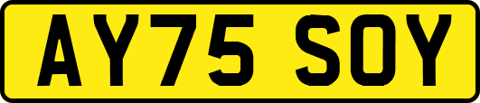 AY75SOY