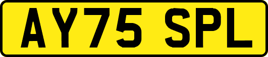 AY75SPL