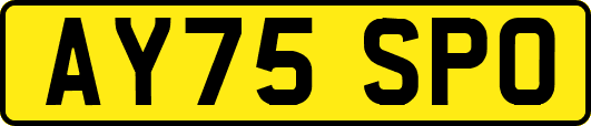 AY75SPO