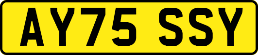 AY75SSY