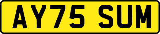 AY75SUM