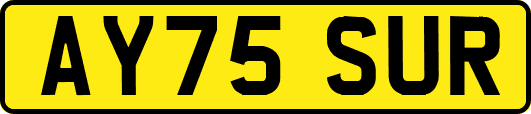 AY75SUR