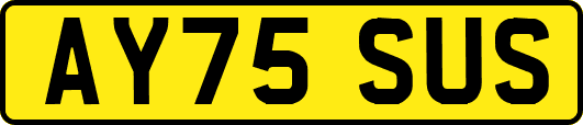 AY75SUS