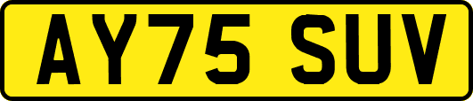 AY75SUV