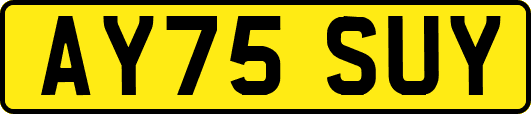 AY75SUY