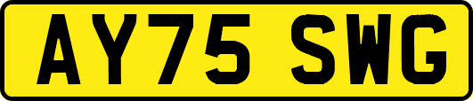 AY75SWG