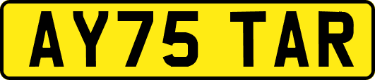 AY75TAR