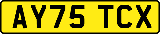 AY75TCX