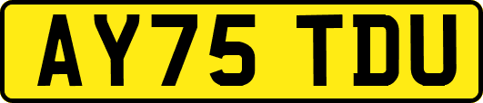 AY75TDU