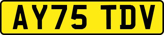 AY75TDV
