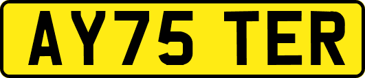 AY75TER