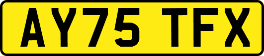 AY75TFX