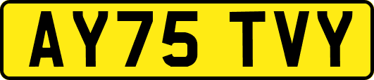 AY75TVY
