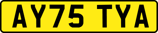 AY75TYA