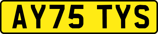 AY75TYS