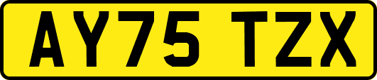 AY75TZX