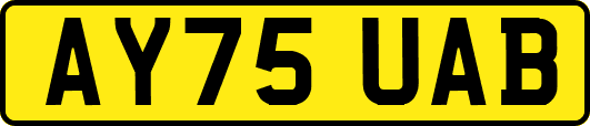 AY75UAB