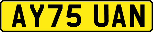 AY75UAN