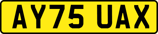 AY75UAX