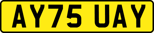 AY75UAY