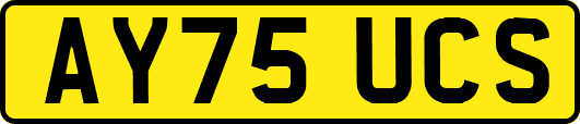 AY75UCS