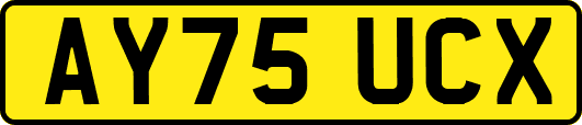 AY75UCX