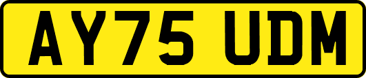 AY75UDM