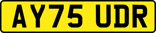 AY75UDR