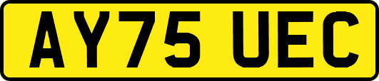 AY75UEC