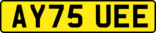 AY75UEE